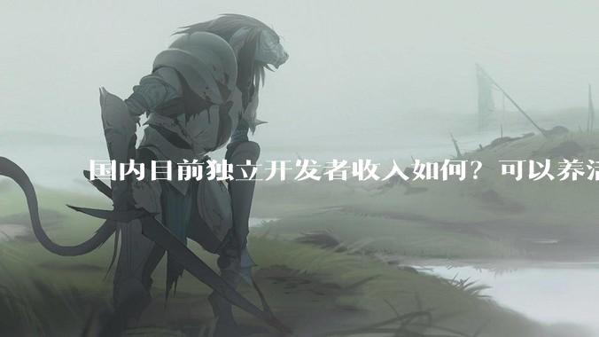 国内目前独立开发者收入如何？可以养活自己以及家人吗？